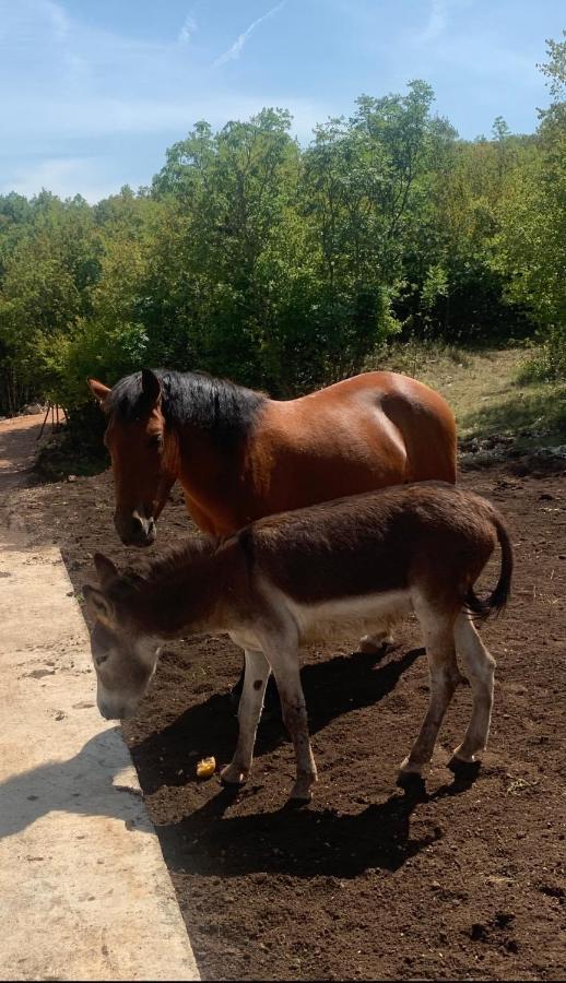 Etno Selo Montegoat Hotel Nikšić Kültér fotó